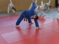 Primaballerina zähmt die Bernauer Judoka
