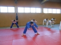 Primaballerina zähmt die Bernauer Judoka