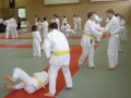 3. Randori-Turnier 2007