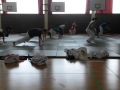 Trainingslager Lindow Mai 2015