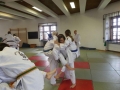 Judofreizeit auf der Wewelsburg